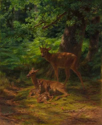 Hjort i ro, 1867